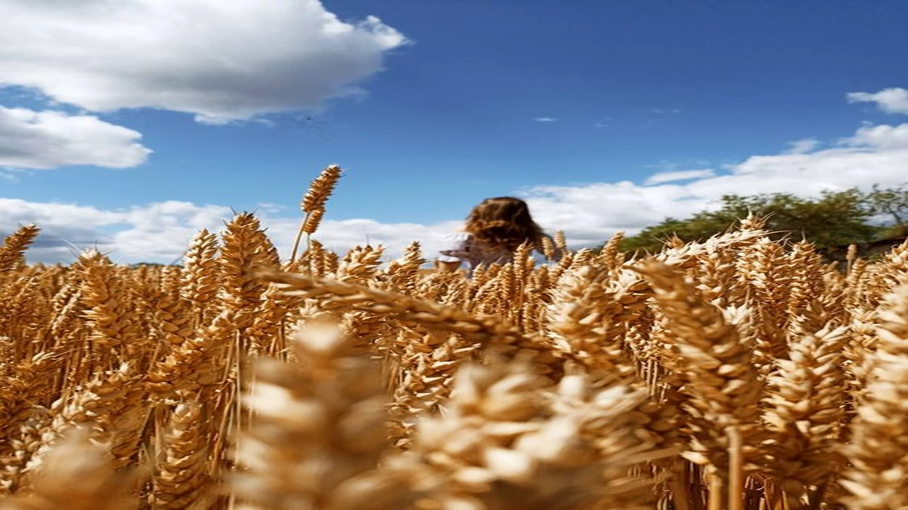 69 كابشن جميل بالانجليزي 2026