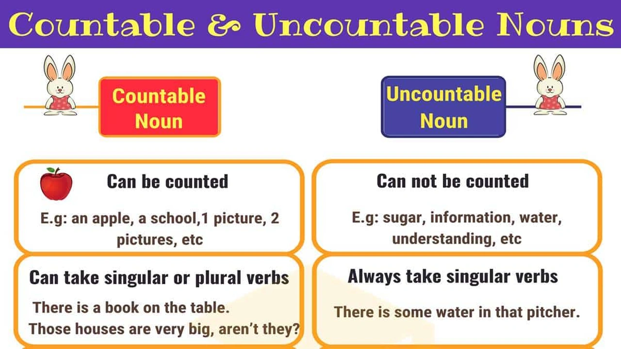 11 Countable تدريبات على countable uncountable 2026 - انجليزي