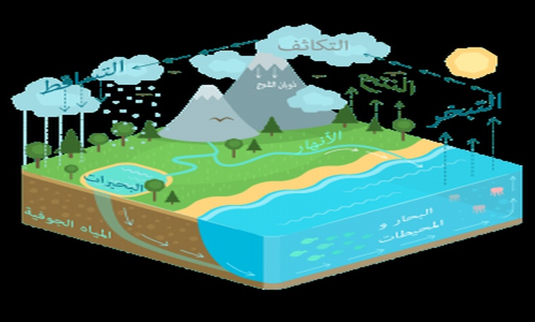 برزنتيشن عن دورة الماء بالانجليزي