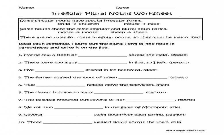 تدريبات على singular and plural