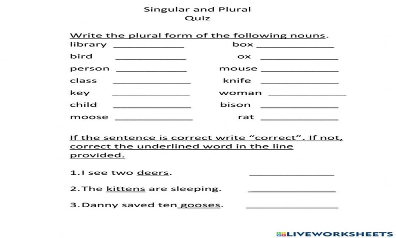 تدريبات على singular and plural