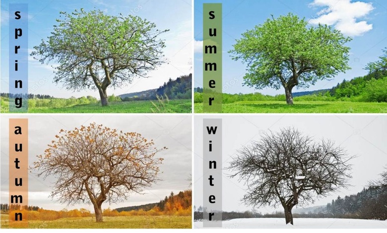 موضوع تعبير بالانجليزي عن الصيف