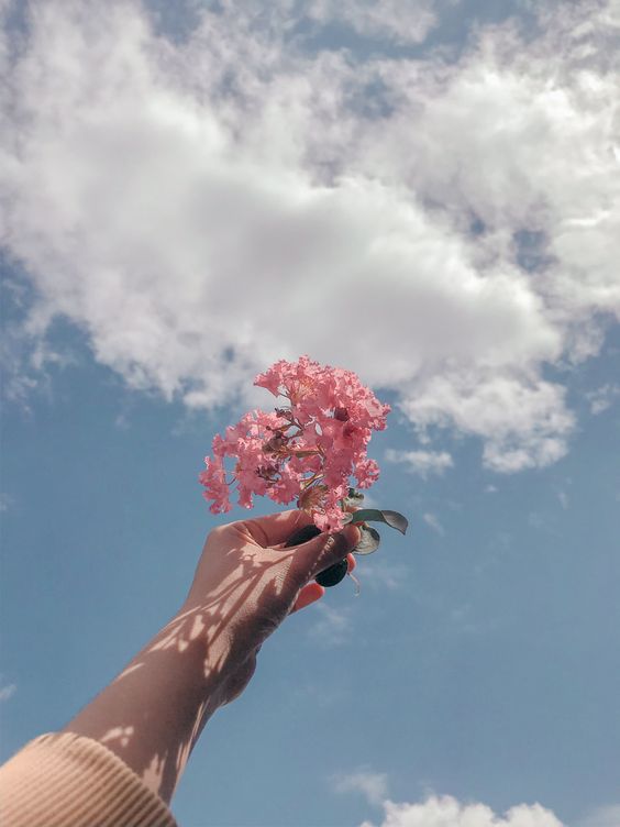 كابشن انجلش عن الجمال