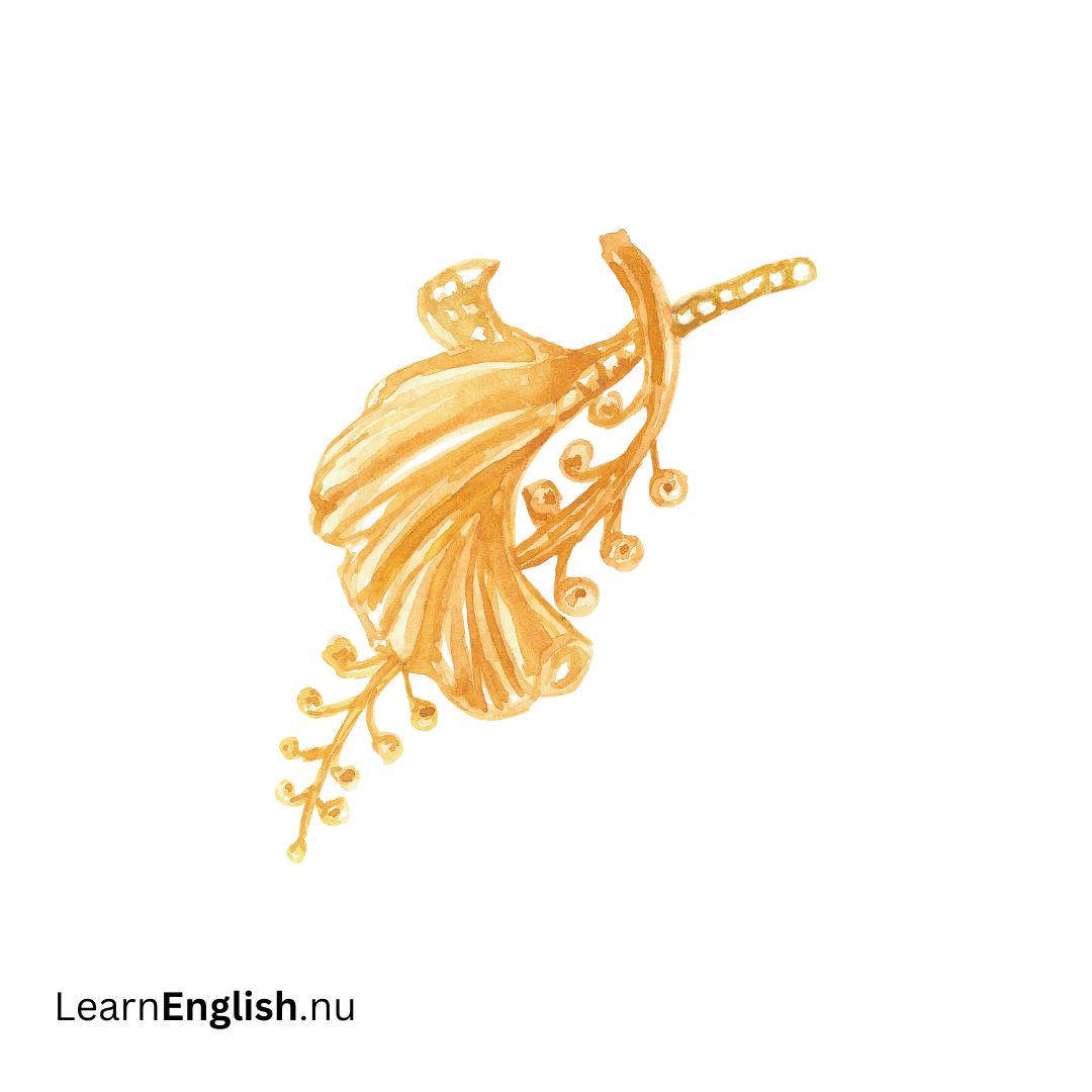 Brooches بروشات