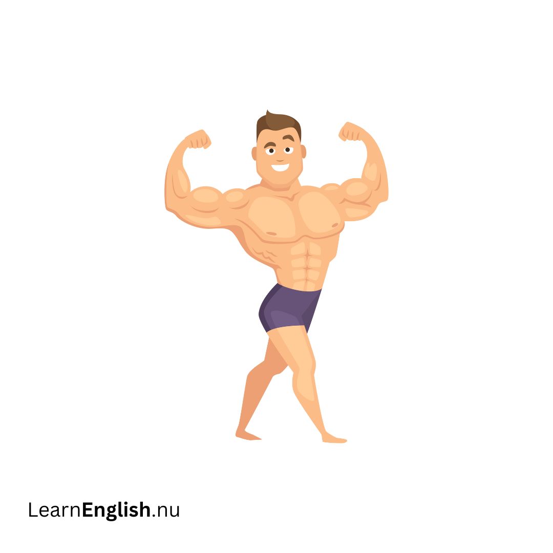 well-built مبني جسديًا