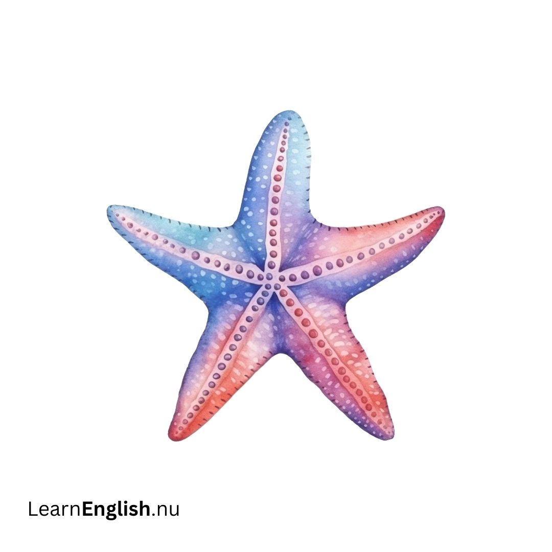 starfish نجم البحر