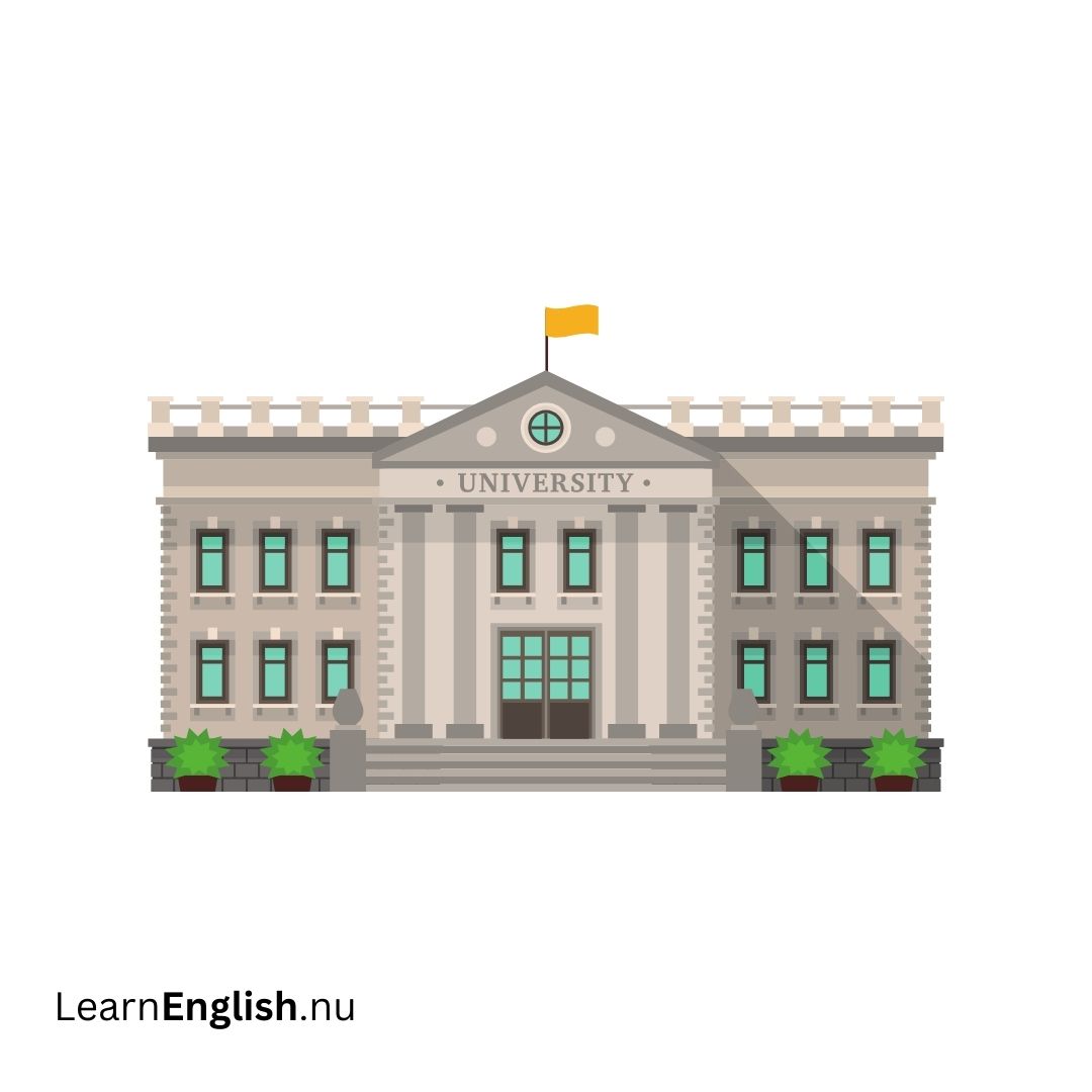 University جامعة