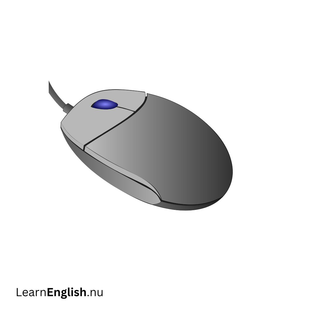 mouse فأرة