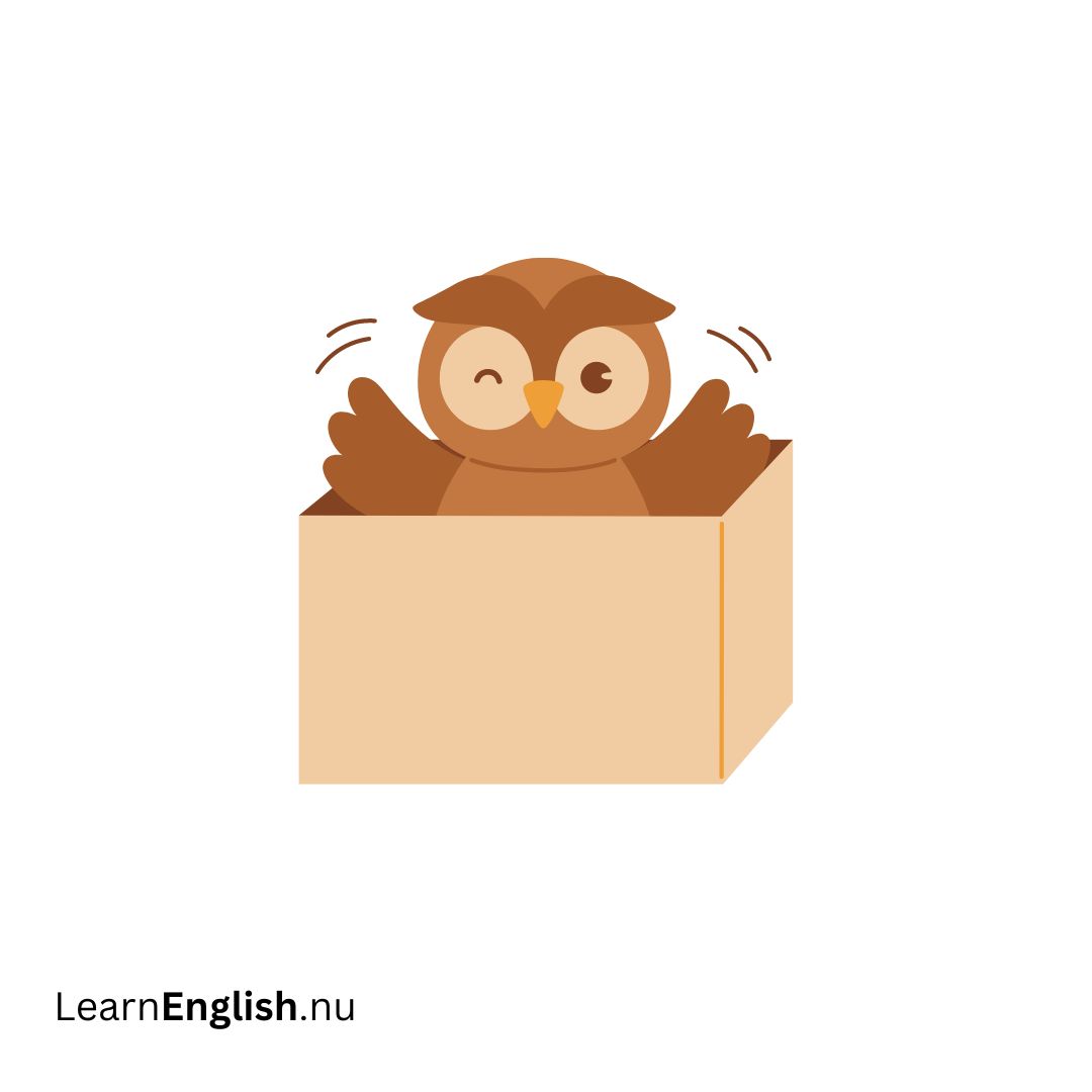 inside في الداخل