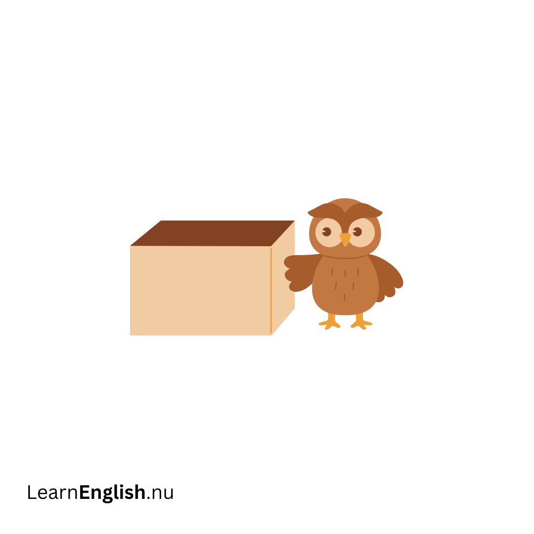 outside في الخارج