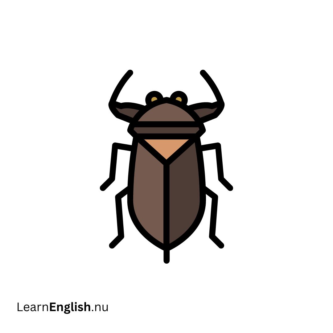 Giant Water Bug حشرة الماء العملاقة