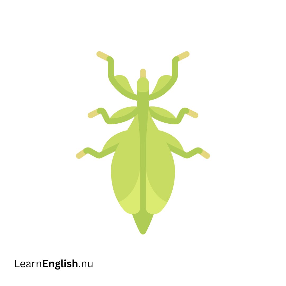 Leaf Insect حشرة الورق