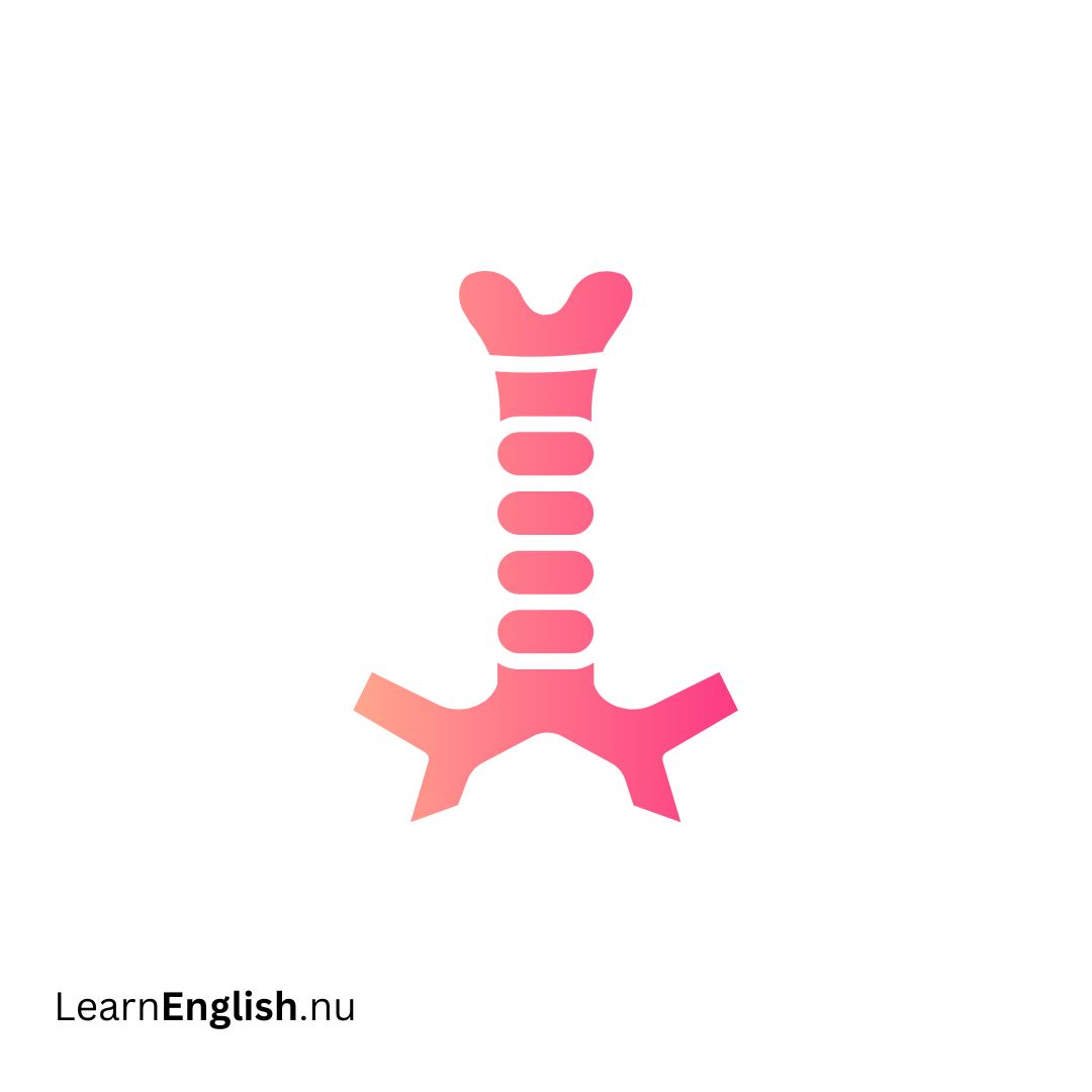 Trachea القصبة الهوائية