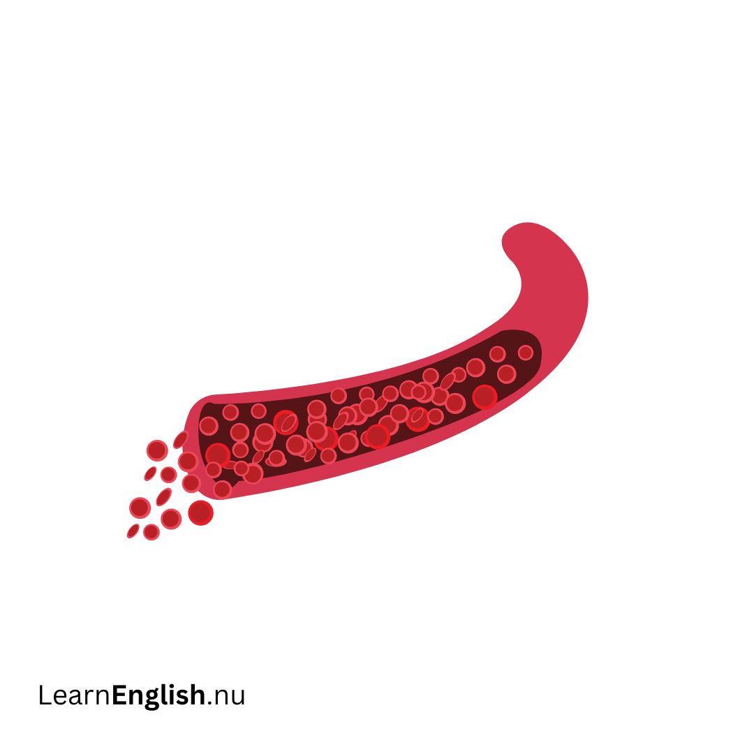 Artery الشريان