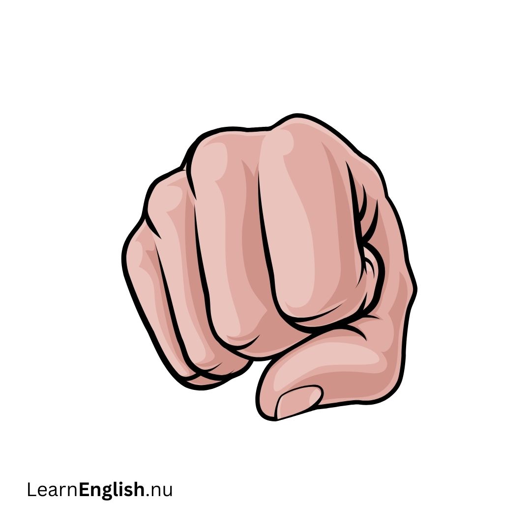 Knuckle الزُنْبَق