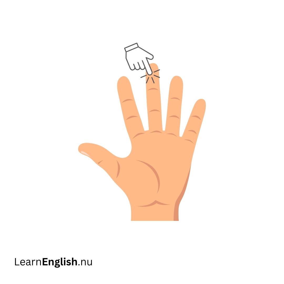 Middle Finger الإصبع الأوسط