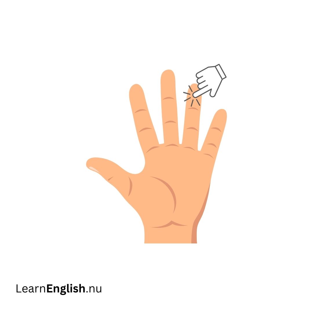 Ring Finger الإصبع البيتا