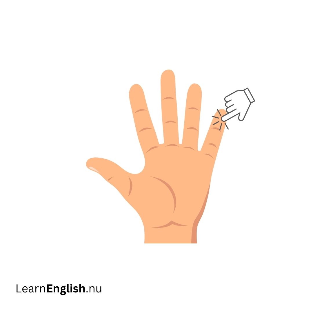 Little Finger الإصبع الصغير