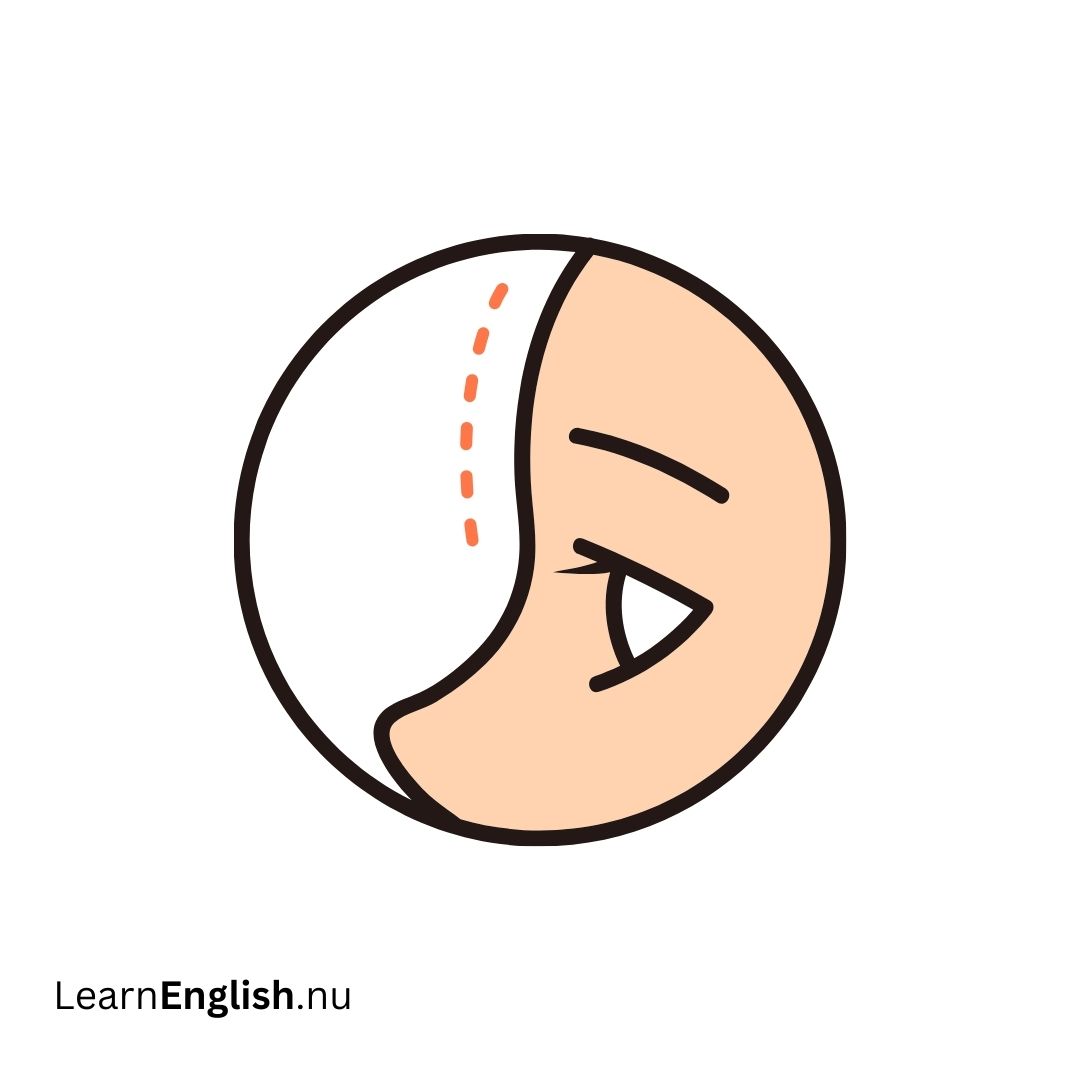 Forehead الجبهة