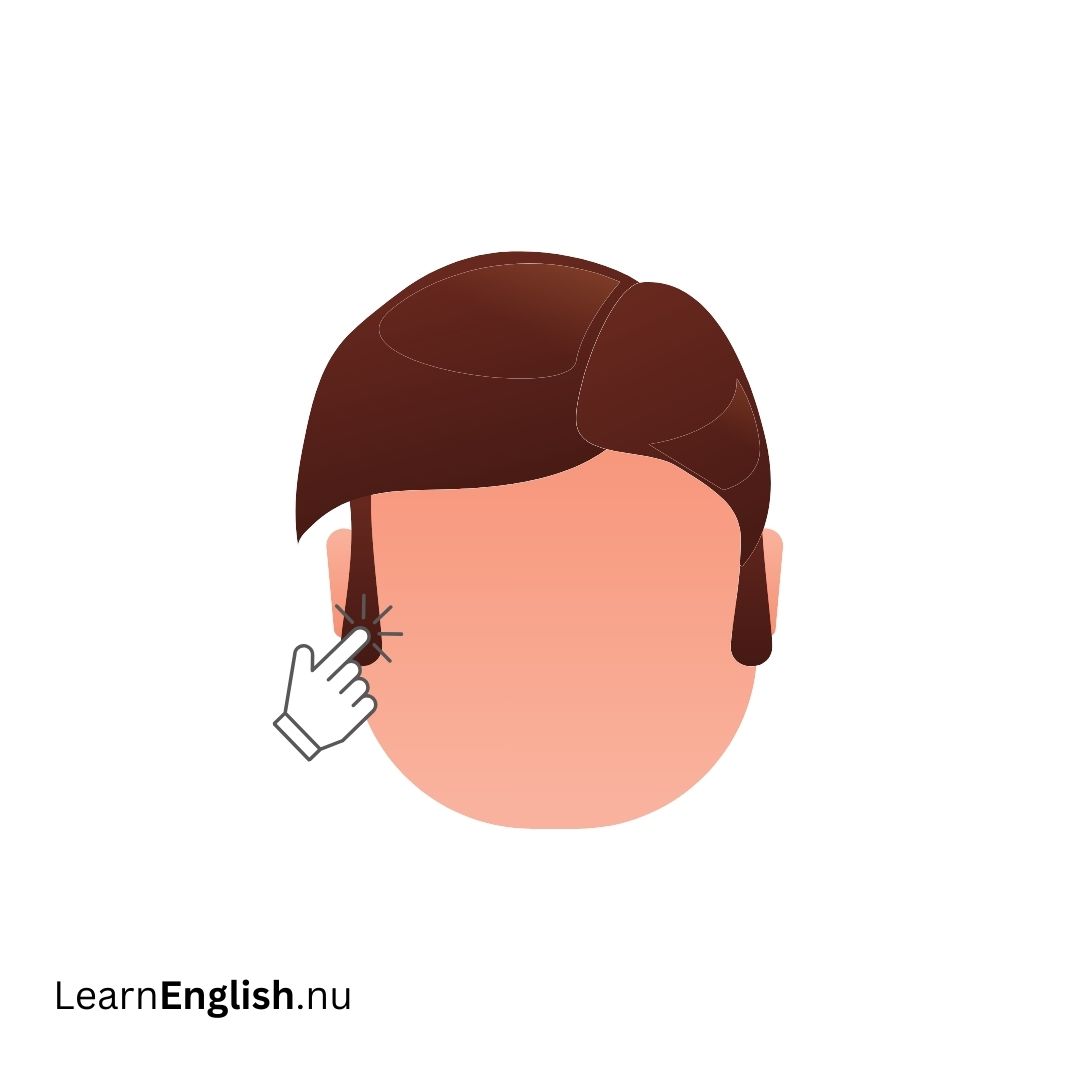 Sideburn الشارب