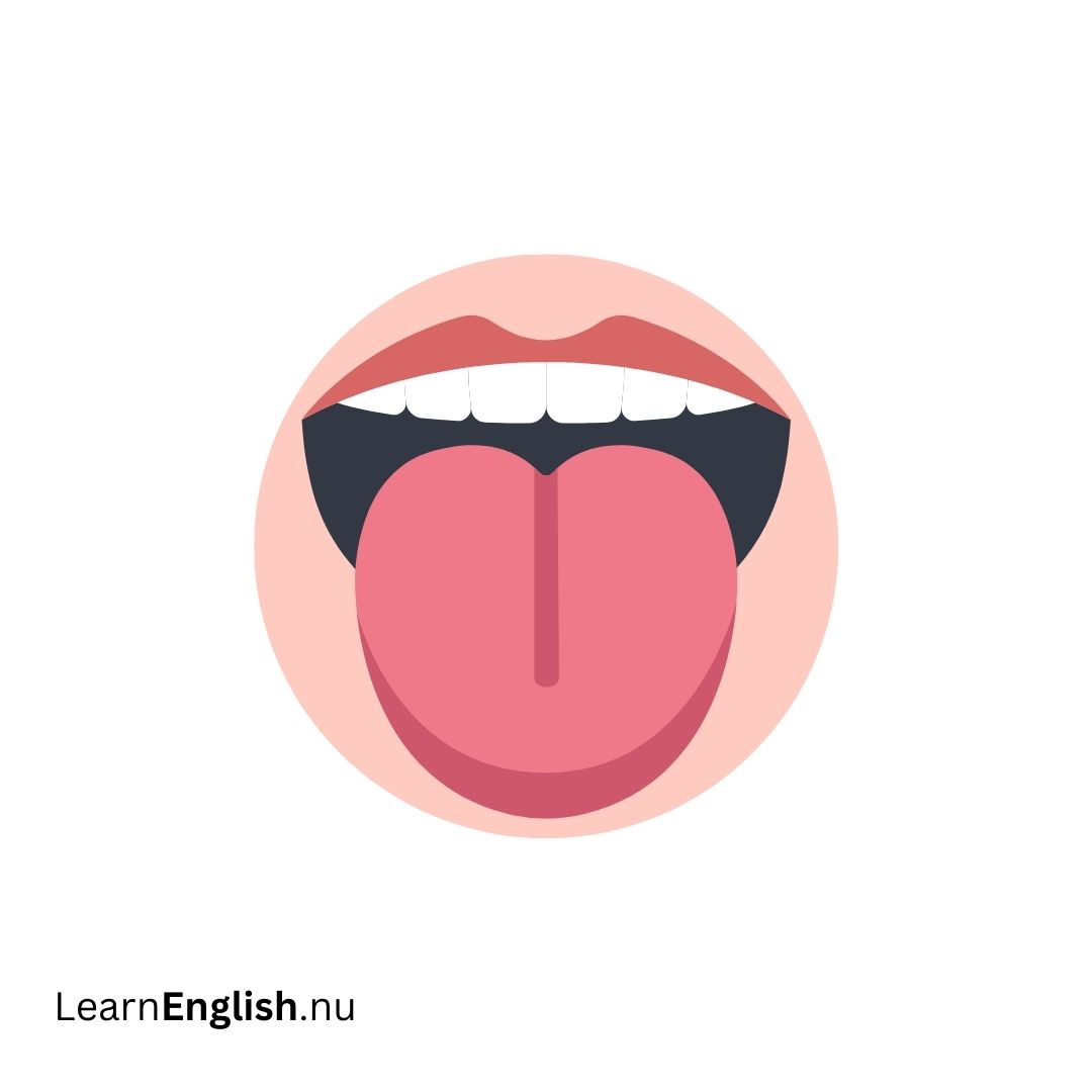 Tongue اللسان