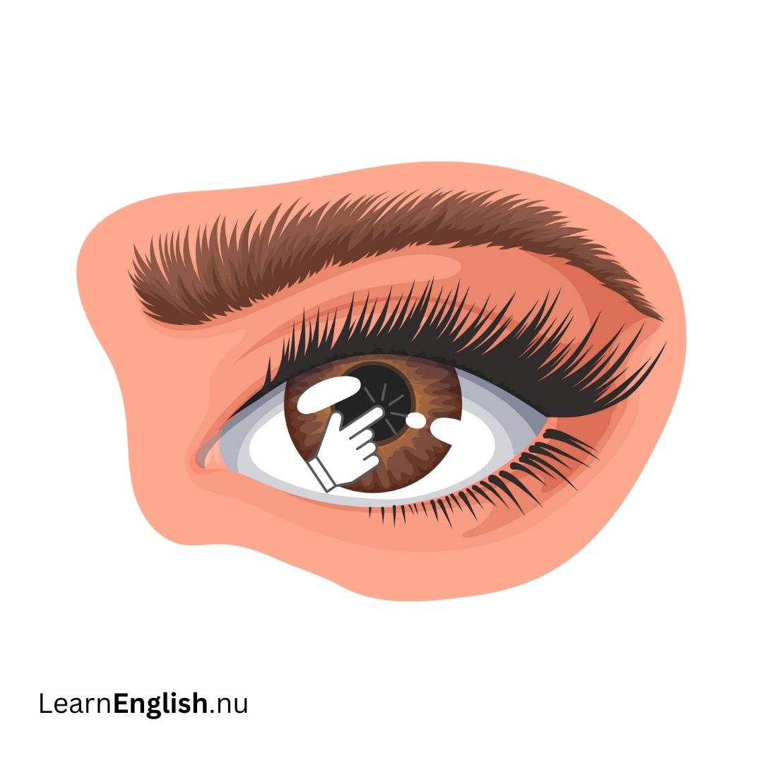 Pupil الحدقة