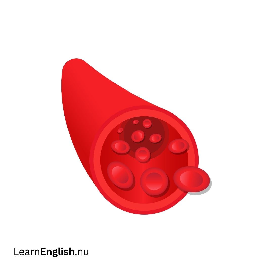 Artery الشريان