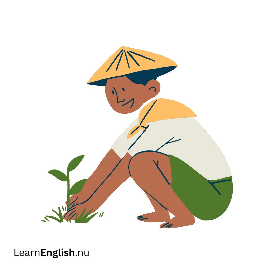 agriculture زراعة