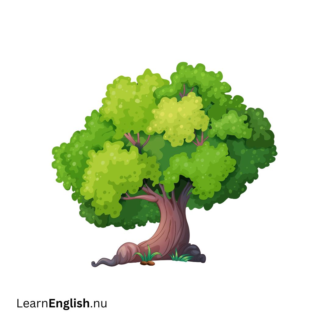 tree شجرة