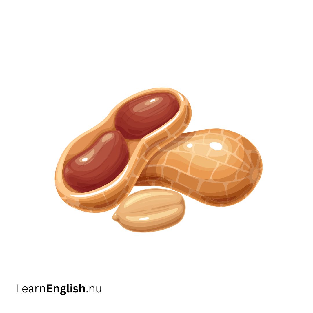 peanut فول سوداني