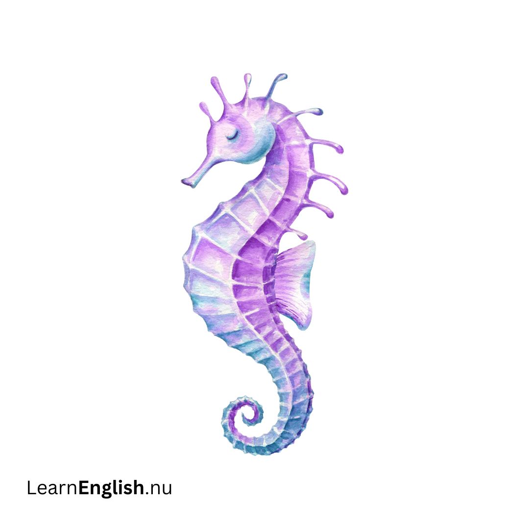 seahorse حصان بحري