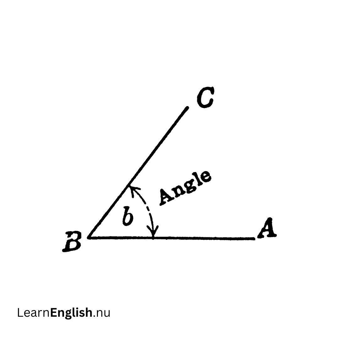 Angle زاوية