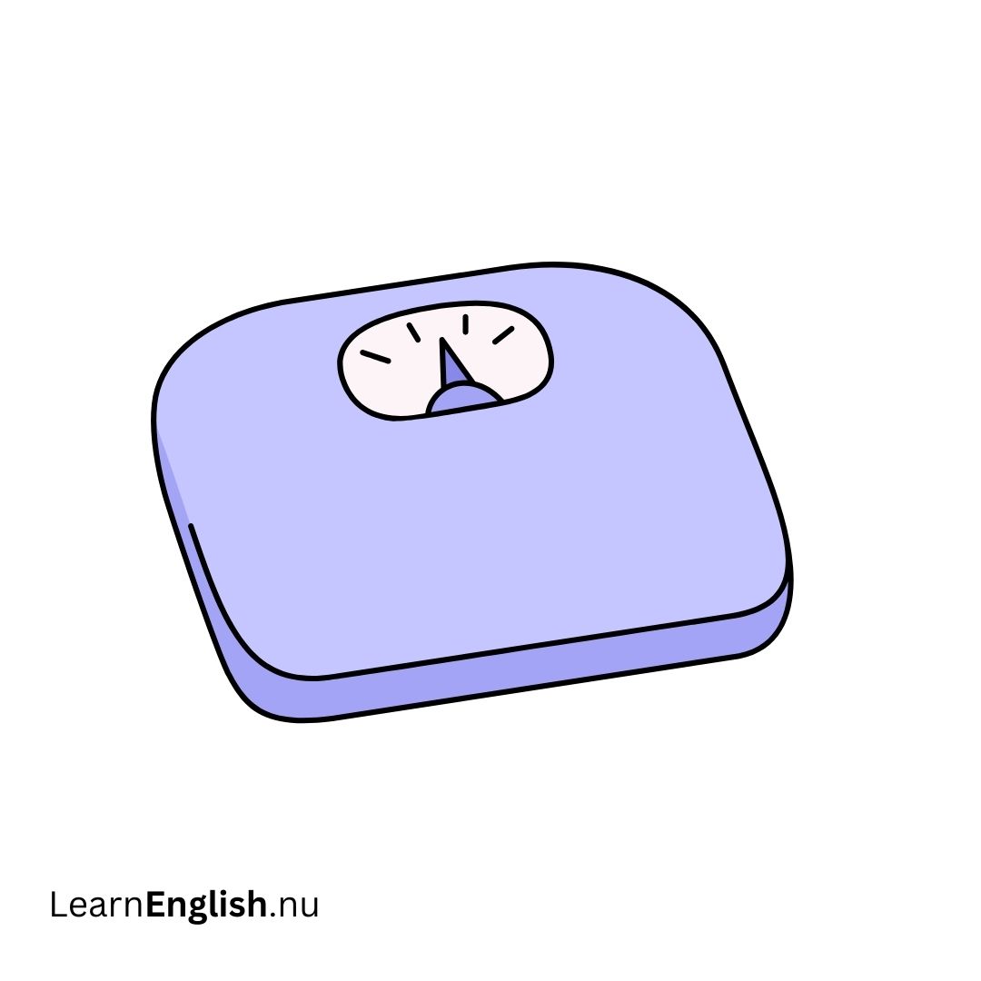 Scale ميزان الوزن