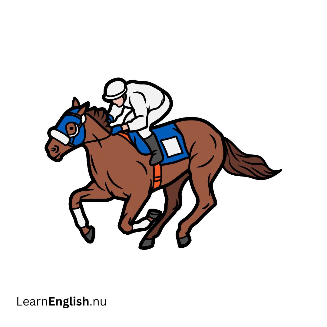 Horse racing سباق الخيول