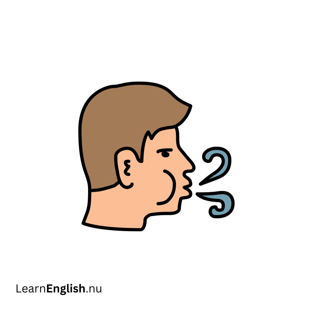 33 Action Verbs in English with Picture learn english