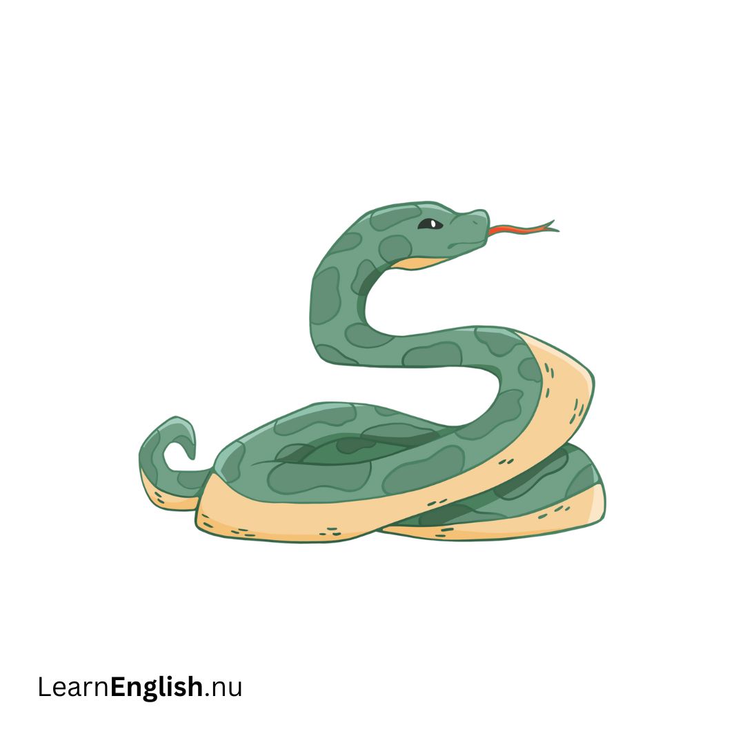 Snake ثعبان