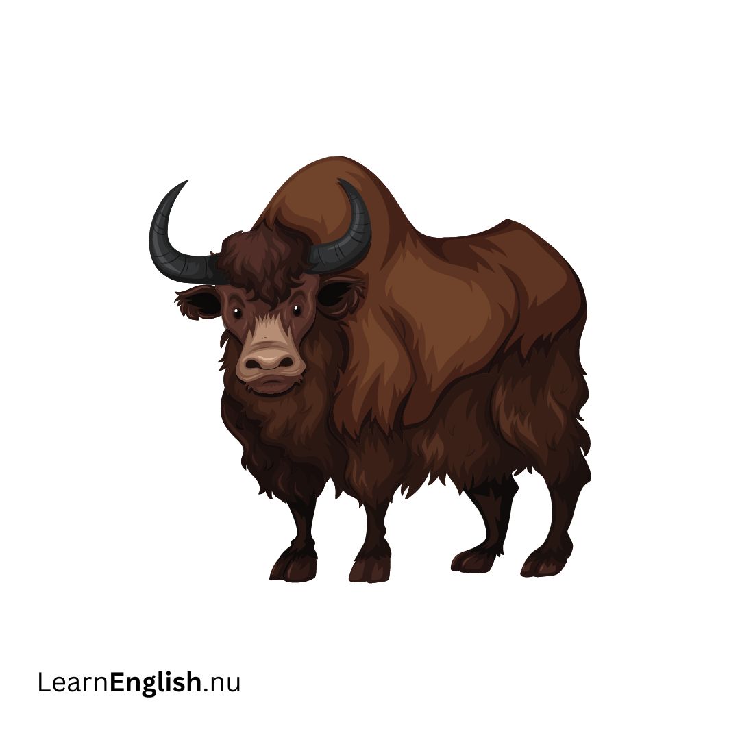 Yak ياك