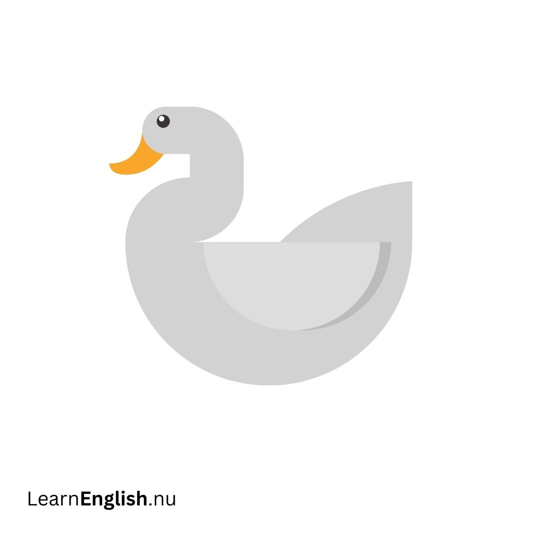 Bird Names in Spanish: 77 Birds in Spanish to English - learn spanish