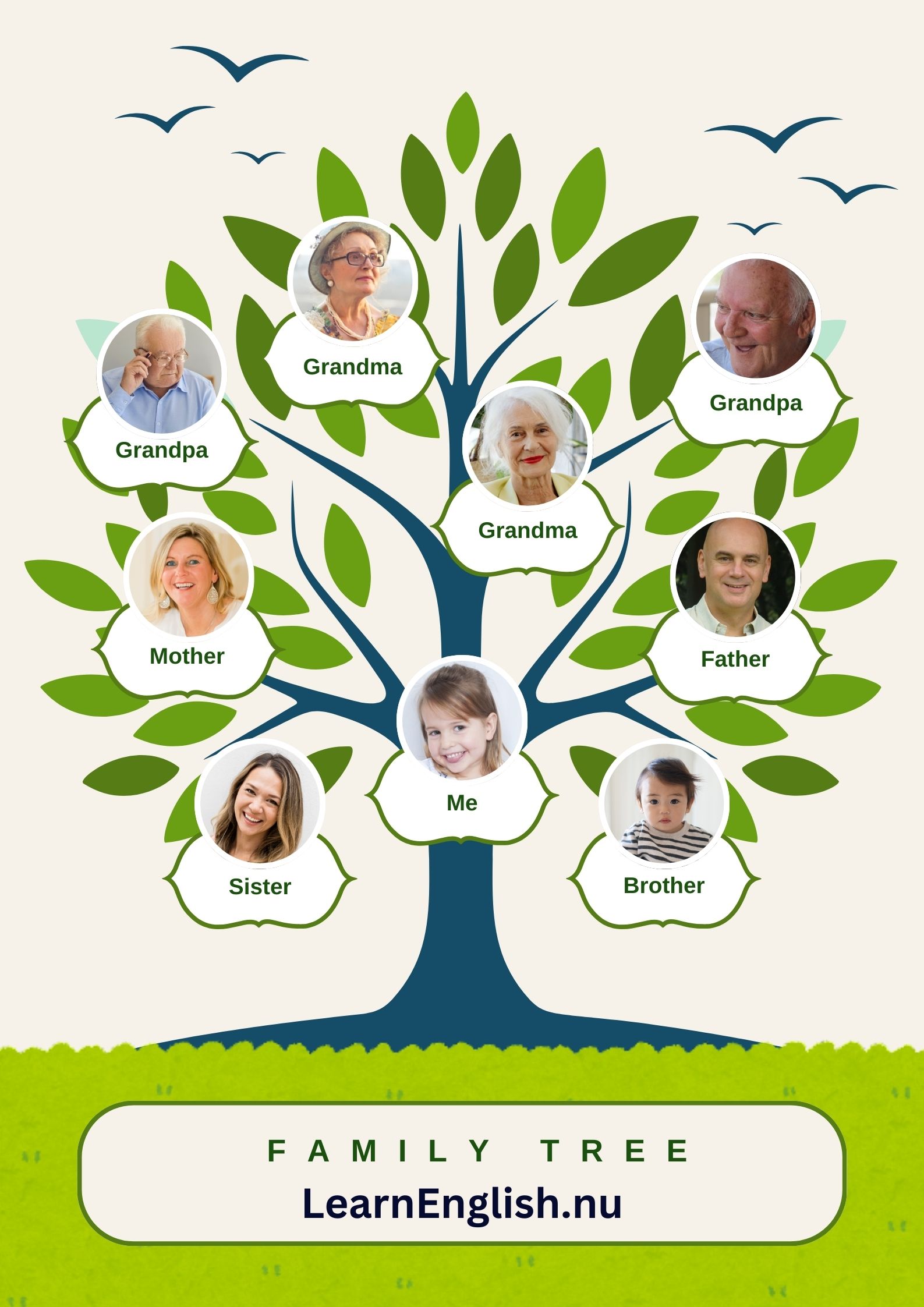 أفراد العائلة بالانجليزي للأطفال