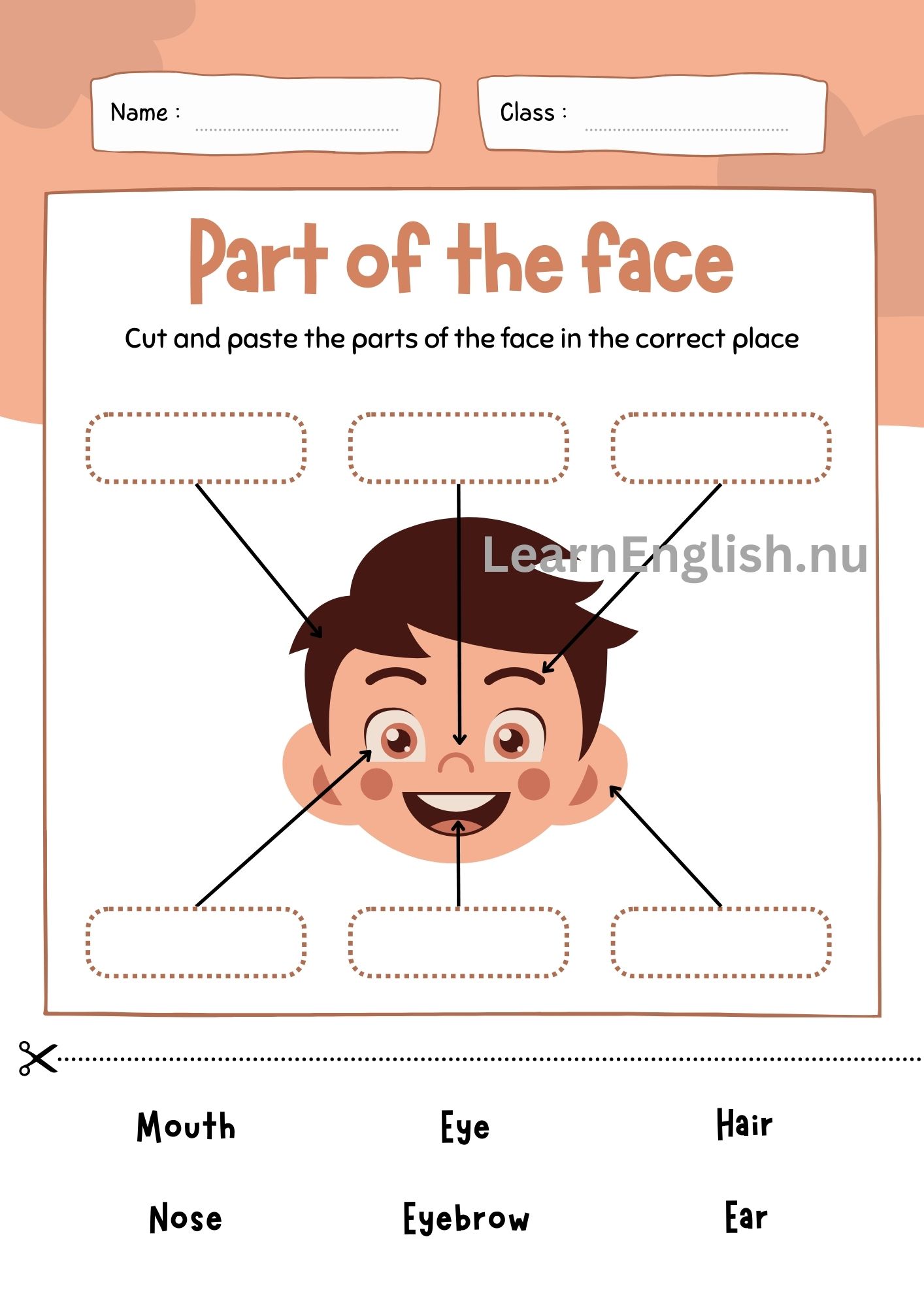 اجزاء الراس بالانجليزي بالصور والصوت