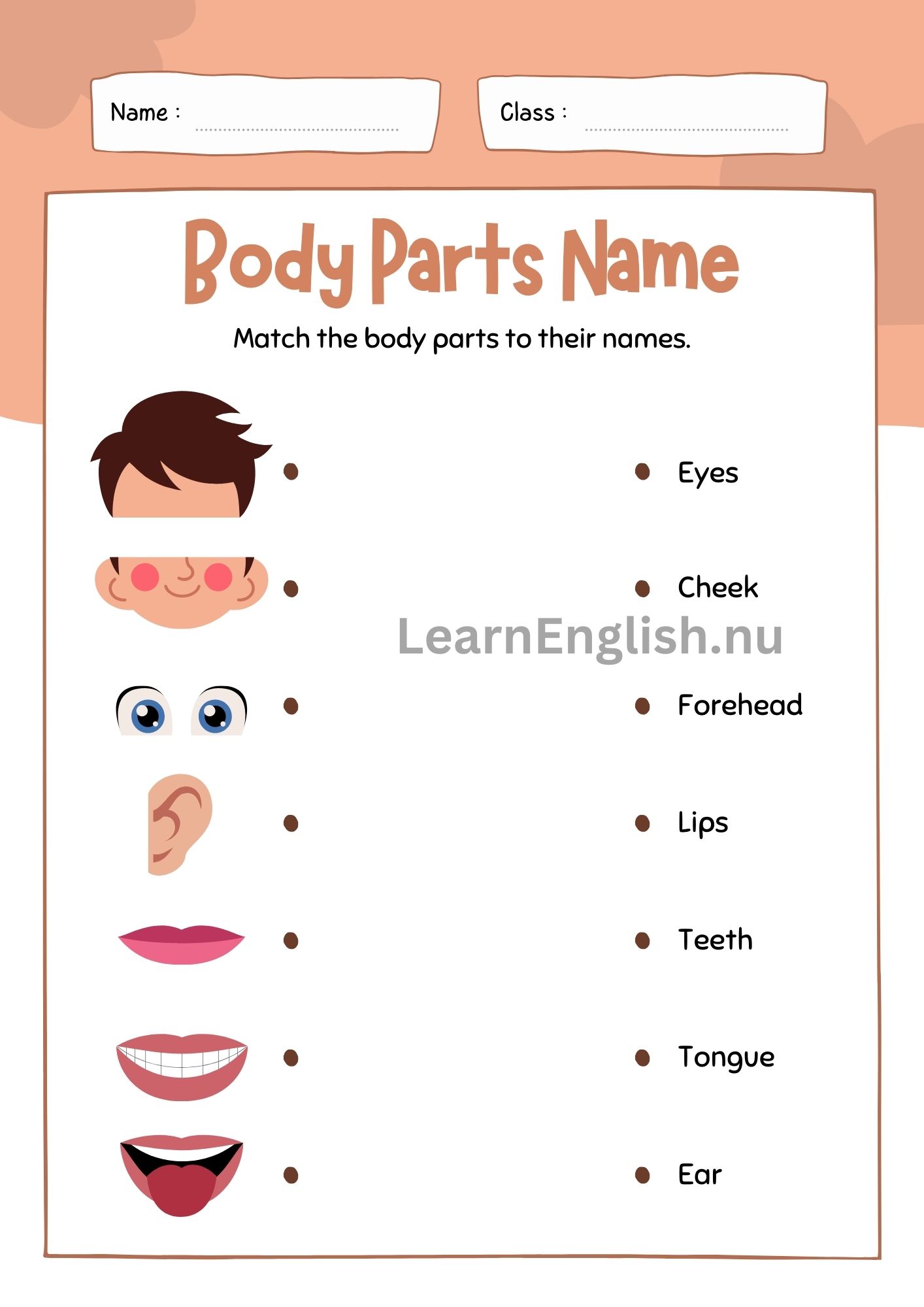 اجزاء الراس بالانجليزي بالصور والصوت