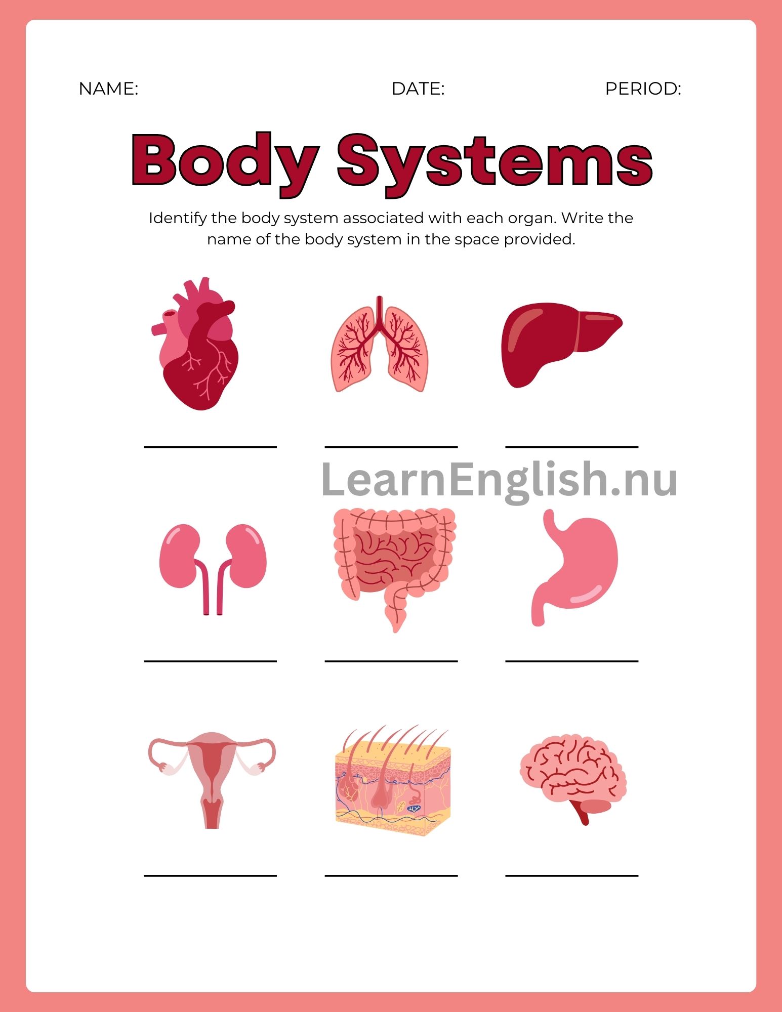 اجهزة جسم الانسان بالانجليزي بالصور والصوت