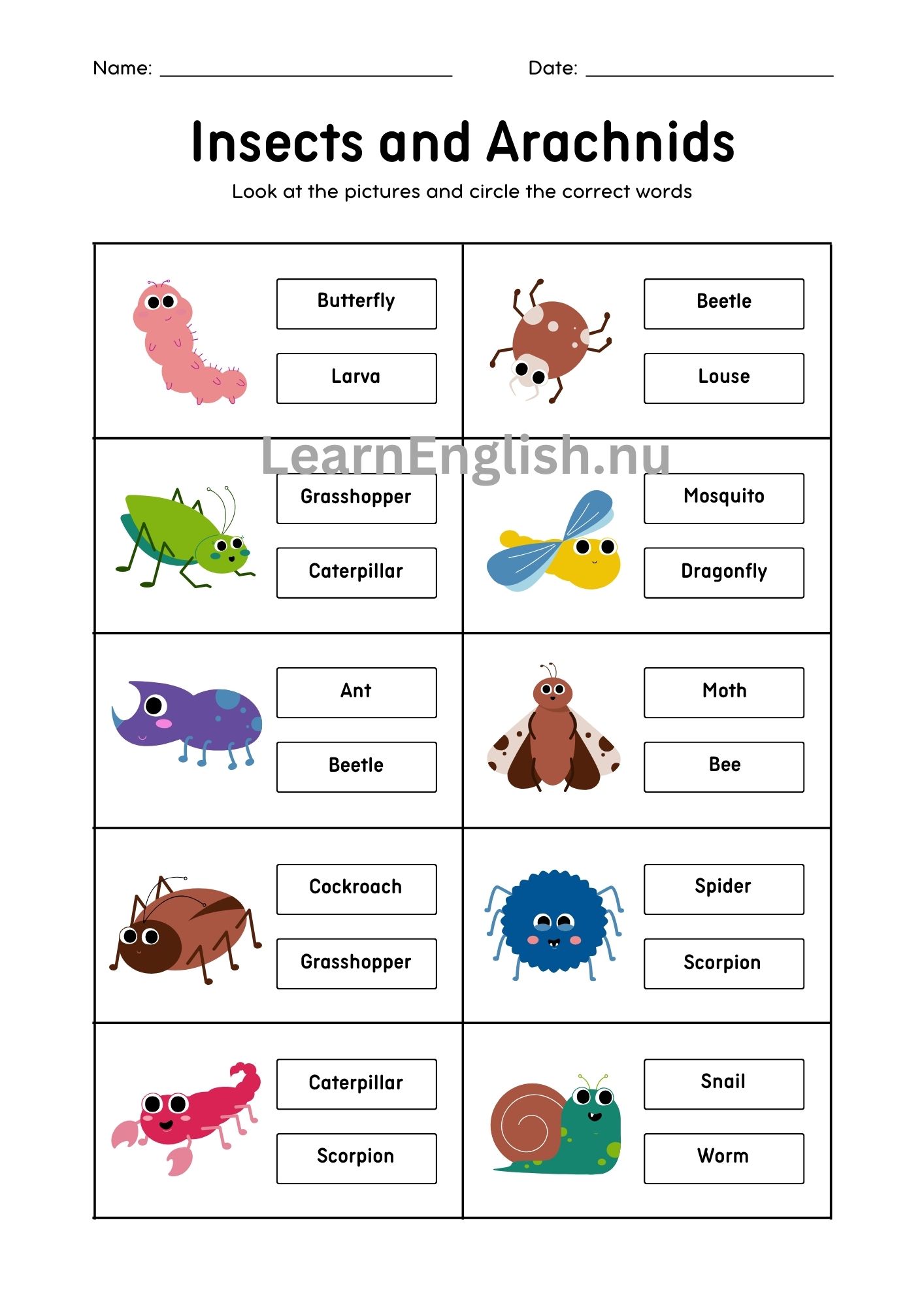 اسماء الحشرات بالانجليزي بالصور والصوت