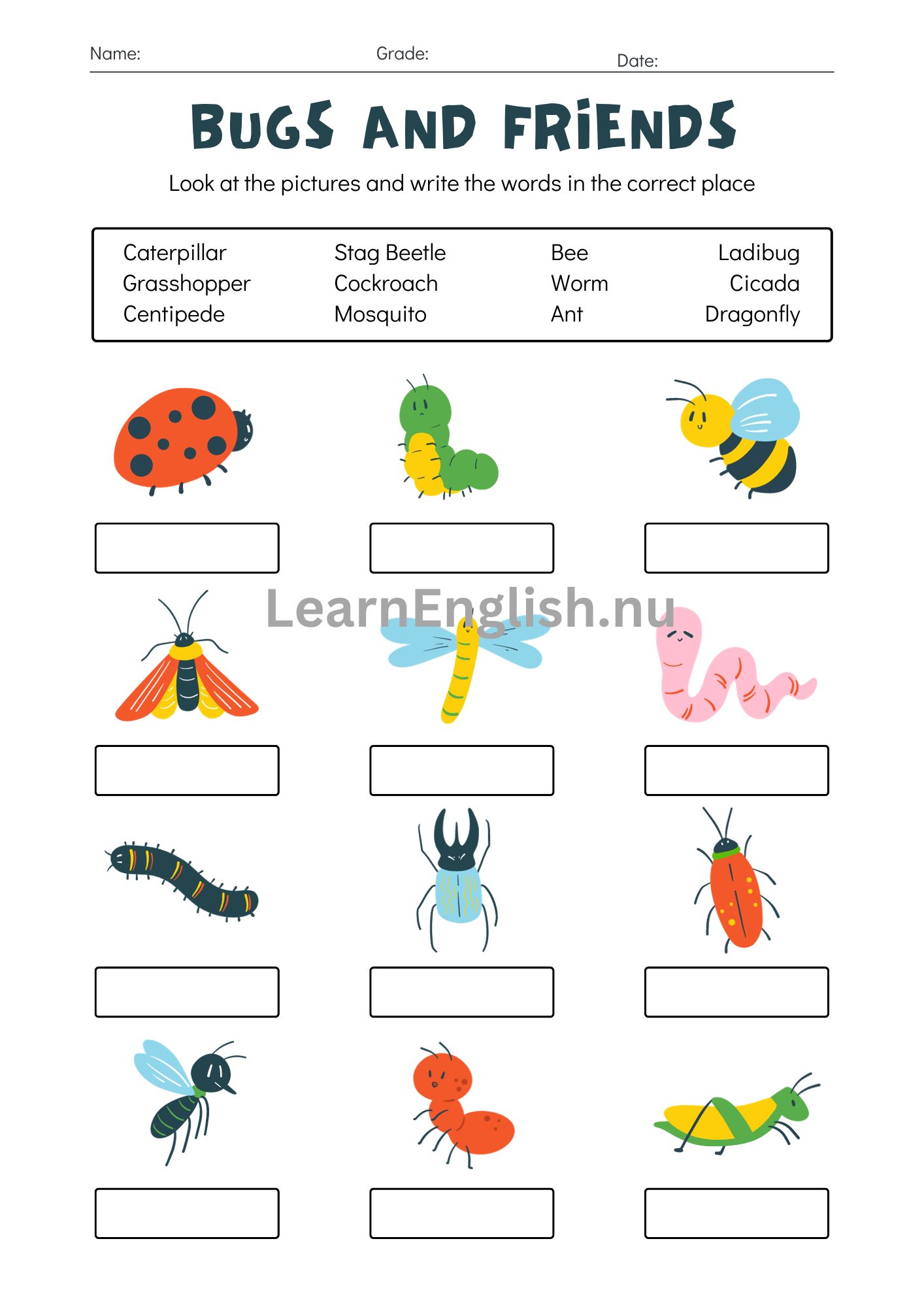 اسماء الحشرات بالانجليزي بالصور والصوت