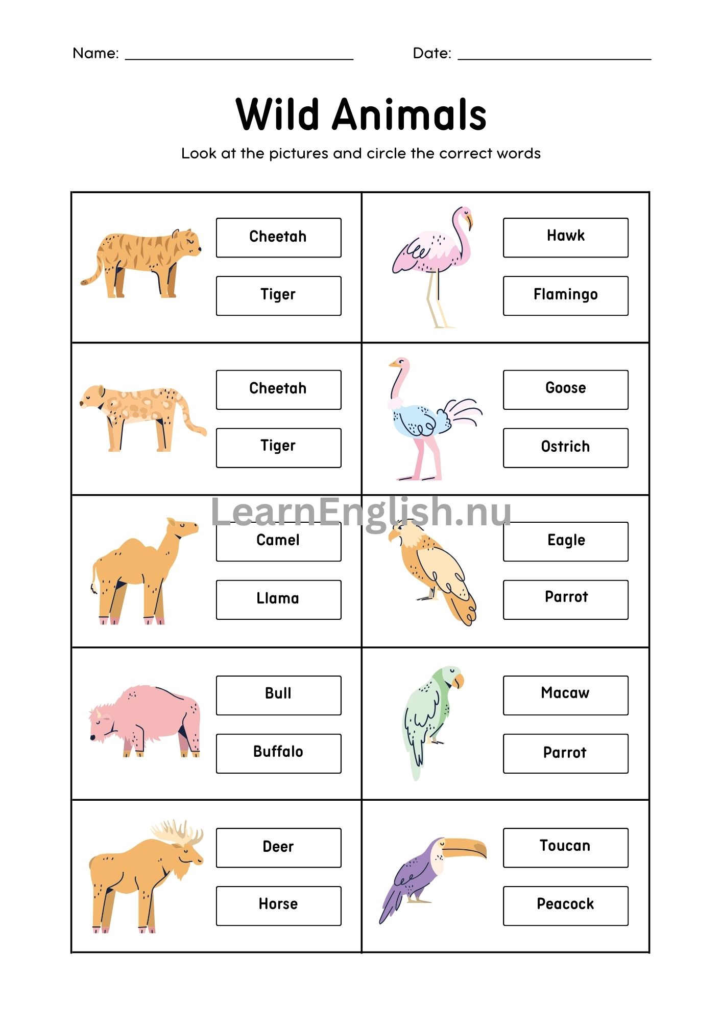 اسماء الحيوانات البرية بالانجليزي بالصور والصوت