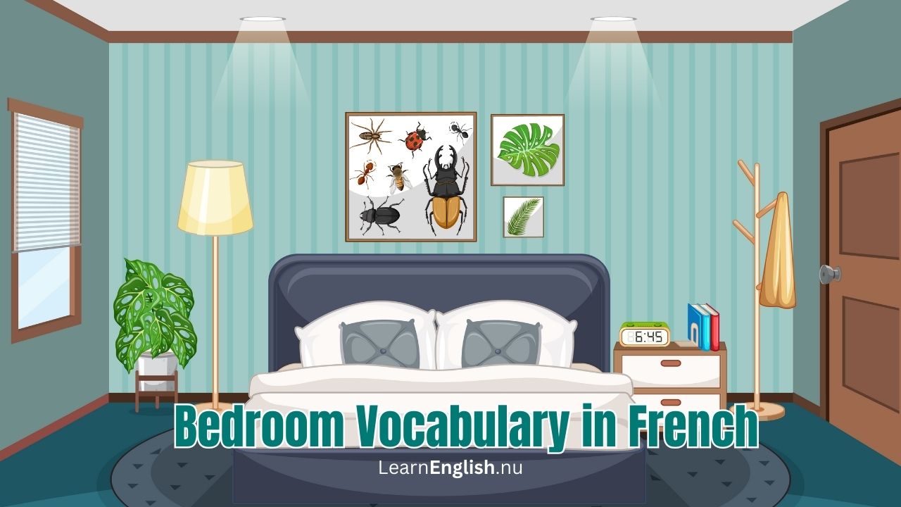 Bedroom in French