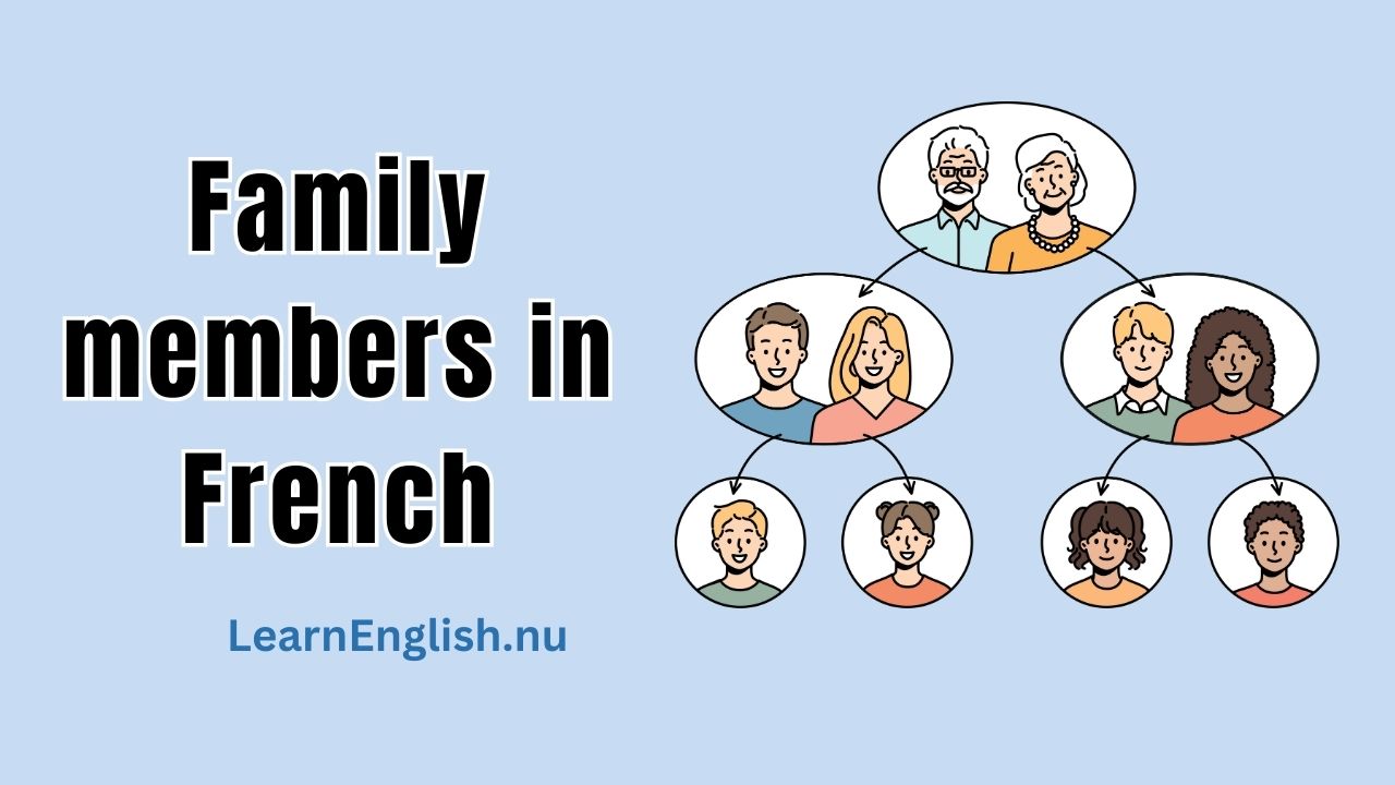 Family members in French