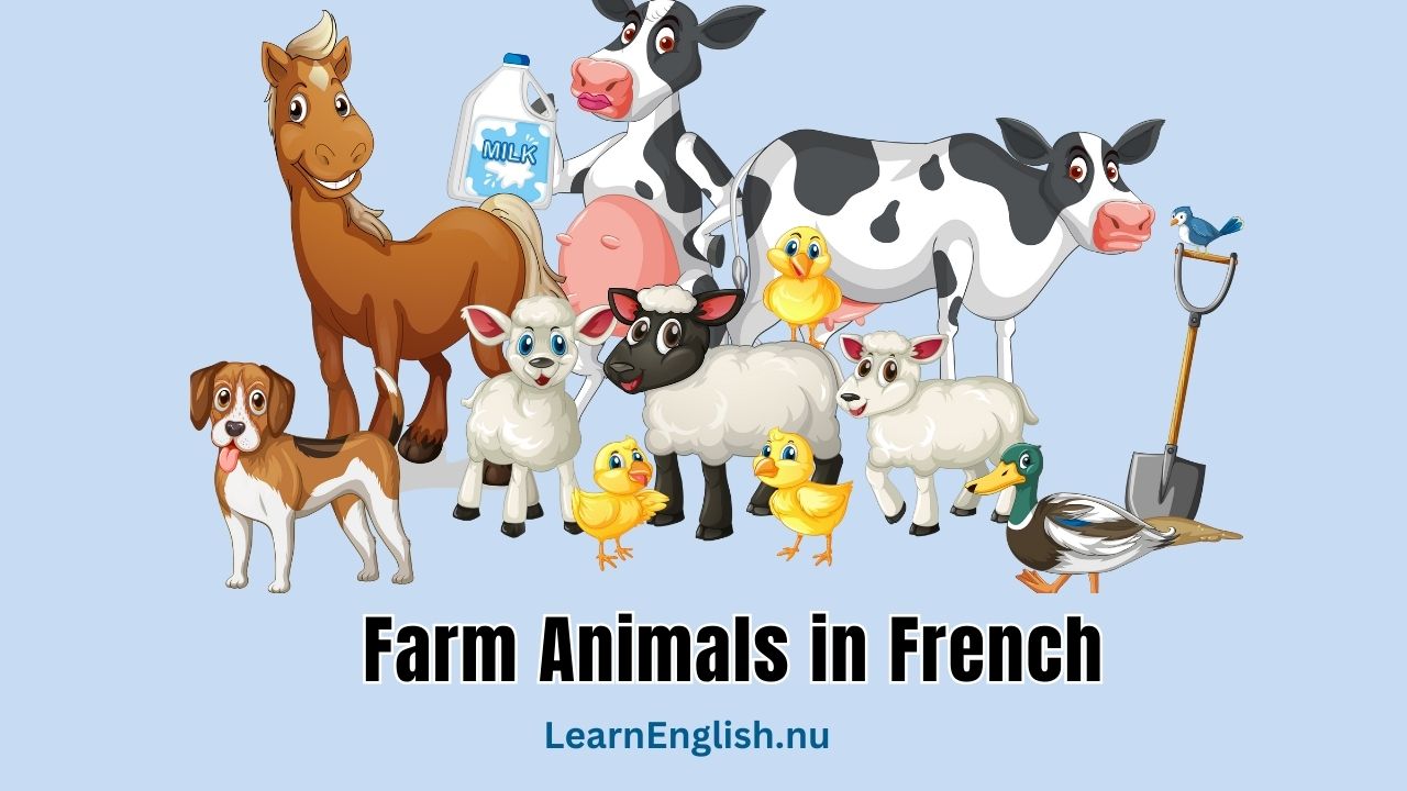 Farm Animals in French