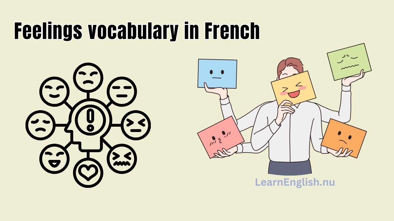 Basic Emotions In French