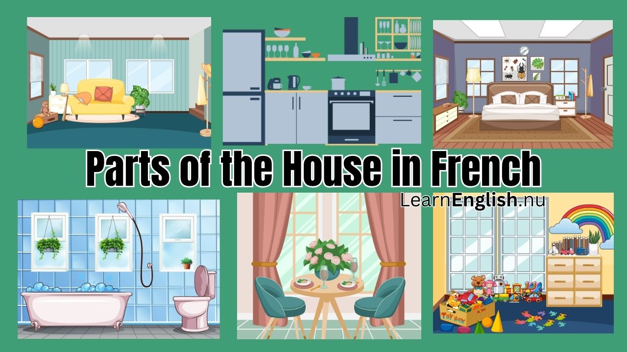 parts of the house in french and english